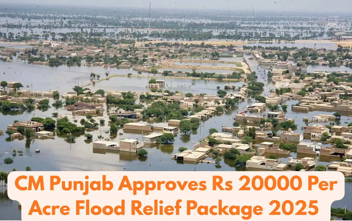 CM Punjab Approves Rs 20000 Per Acre Flood Relief Package