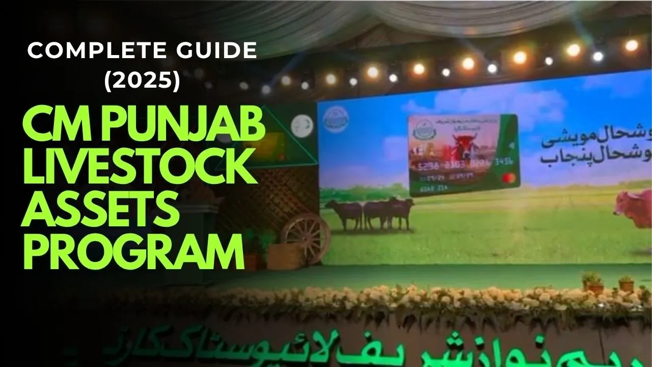 CM Punjab Livestock Assets Program